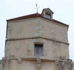 Les 4 Blasons indéchiffrables et Chien assis Sud Ouest